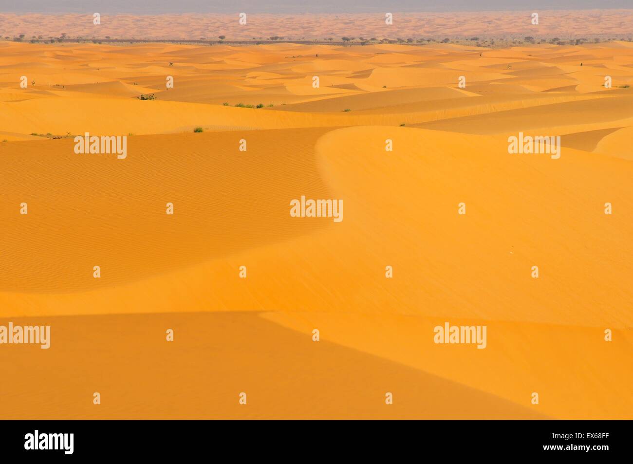 Paysage désertique avec dunes de sable, route de Atar à Tidjikja, région d'Adrar, Mauritanie Banque D'Images
