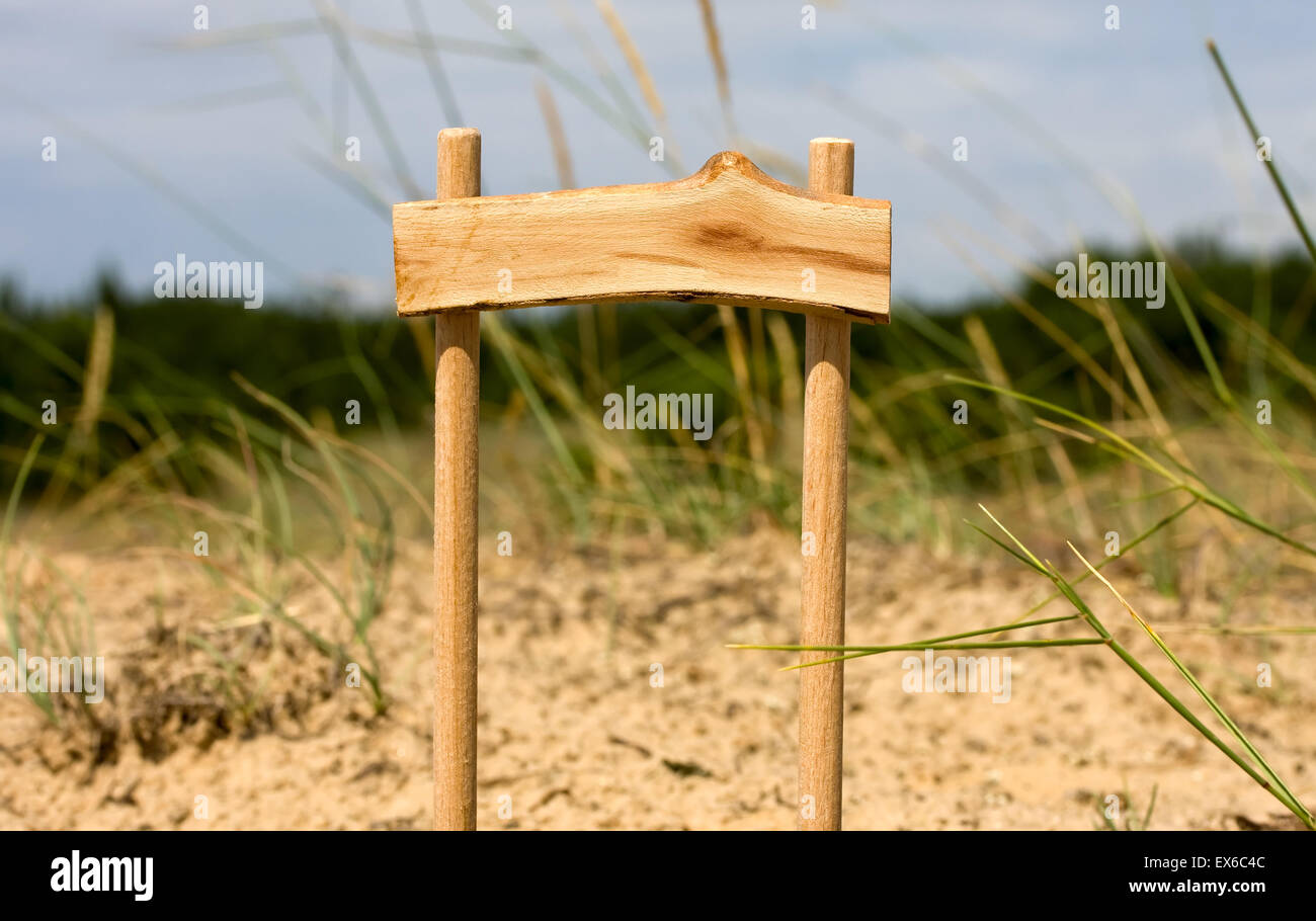 Pointeur en bois debout dans la forêt dans l'herbe avec fond blanc pour le texte Banque D'Images