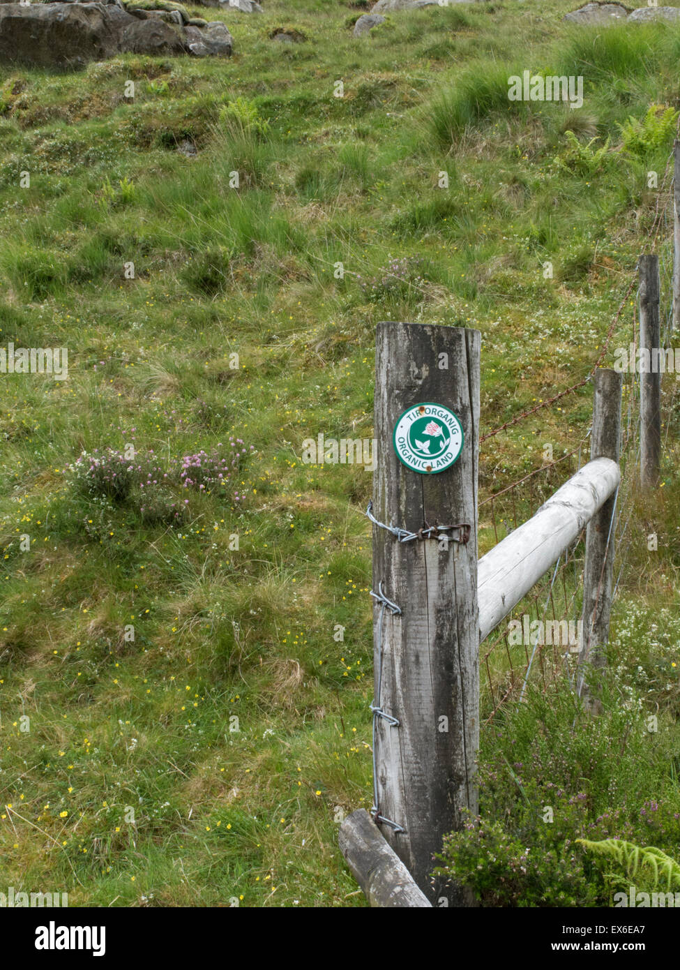 Signe de terre organique. Le Parc National de Snowdonia, le nord du Pays de Galles. UK Banque D'Images