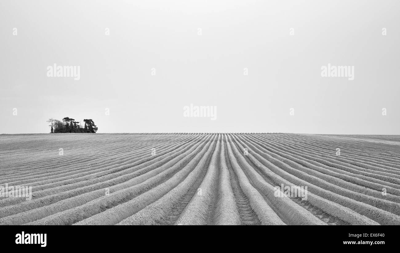 Les champs labourés Cambridge UK Black & White Banque D'Images
