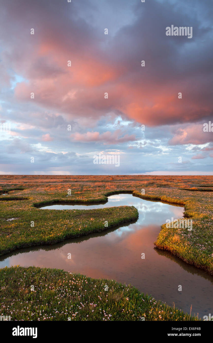 Marais d'Stiffey coucher de North Norfolk Coast Banque D'Images