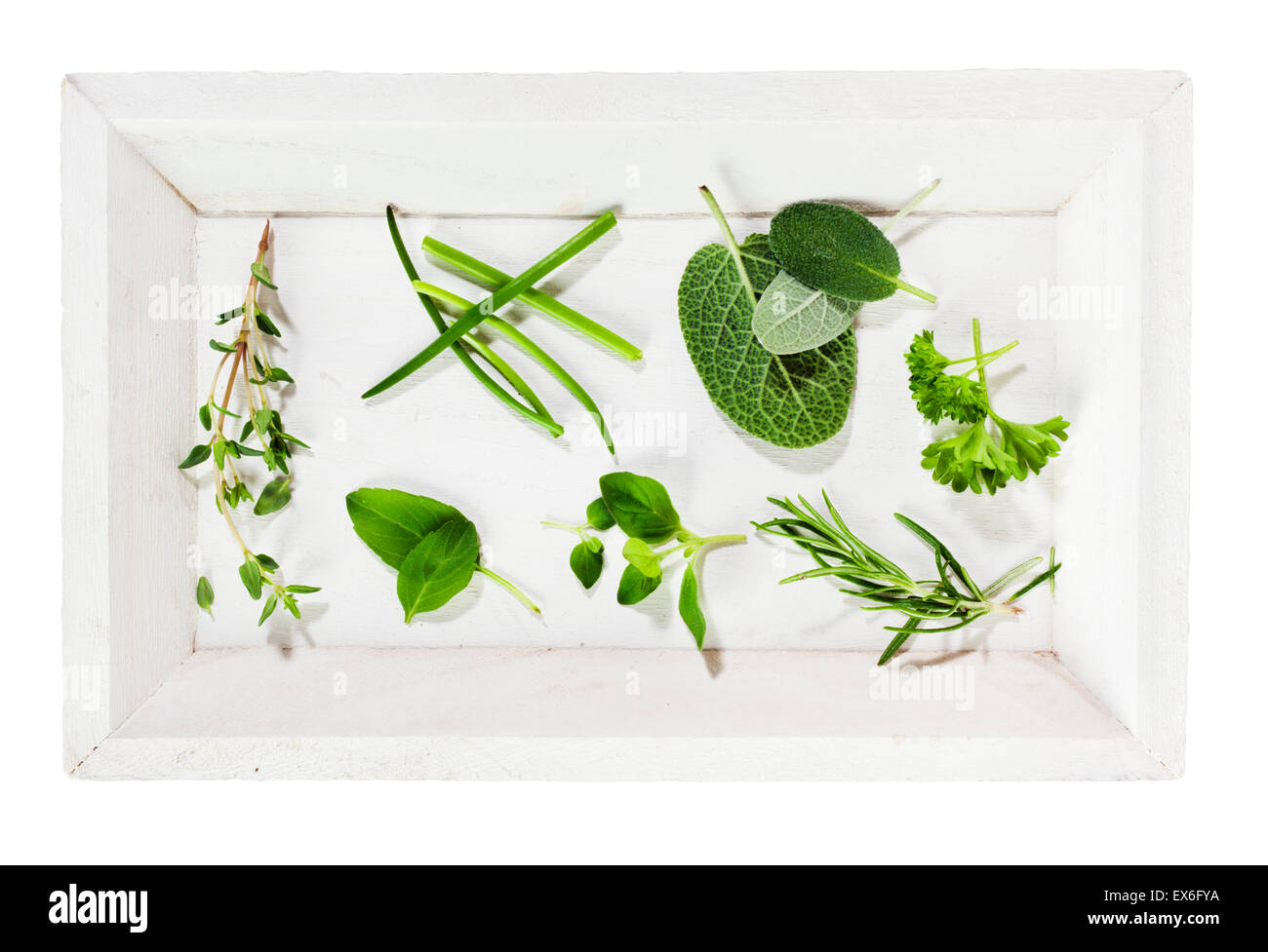 Collection d'herbes sur plateau en bois blanc Banque D'Images