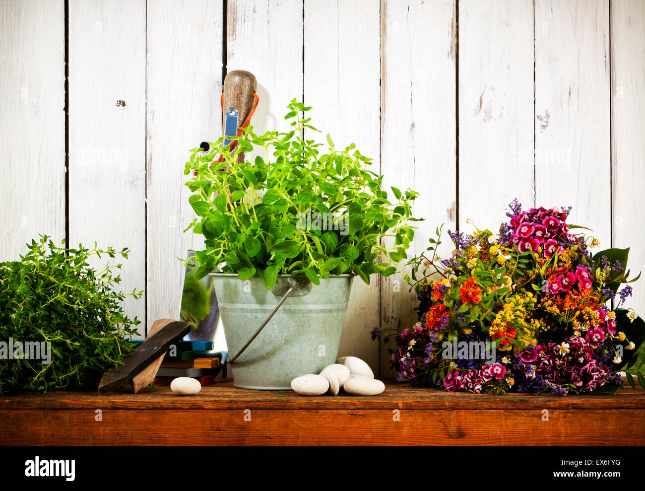 La vie toujours avec les outils de jardinage, fleurs séchées et origan bouquet plante en godet d'étain en face du mur rustique en bois blanc Banque D'Images