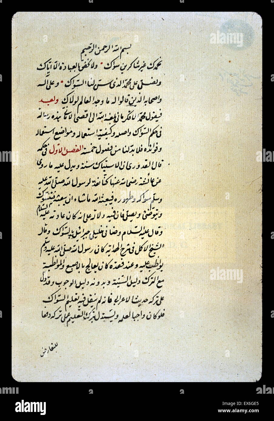 L'ouverture d'un essai en arabe sur l'utilisation de la brosse à dents  (siwak) écrit par Mu ?mounir al- ?qkirm ?n ? Au milieu du 18ème siècle.  Aucune autre copie est enregistrée. La
