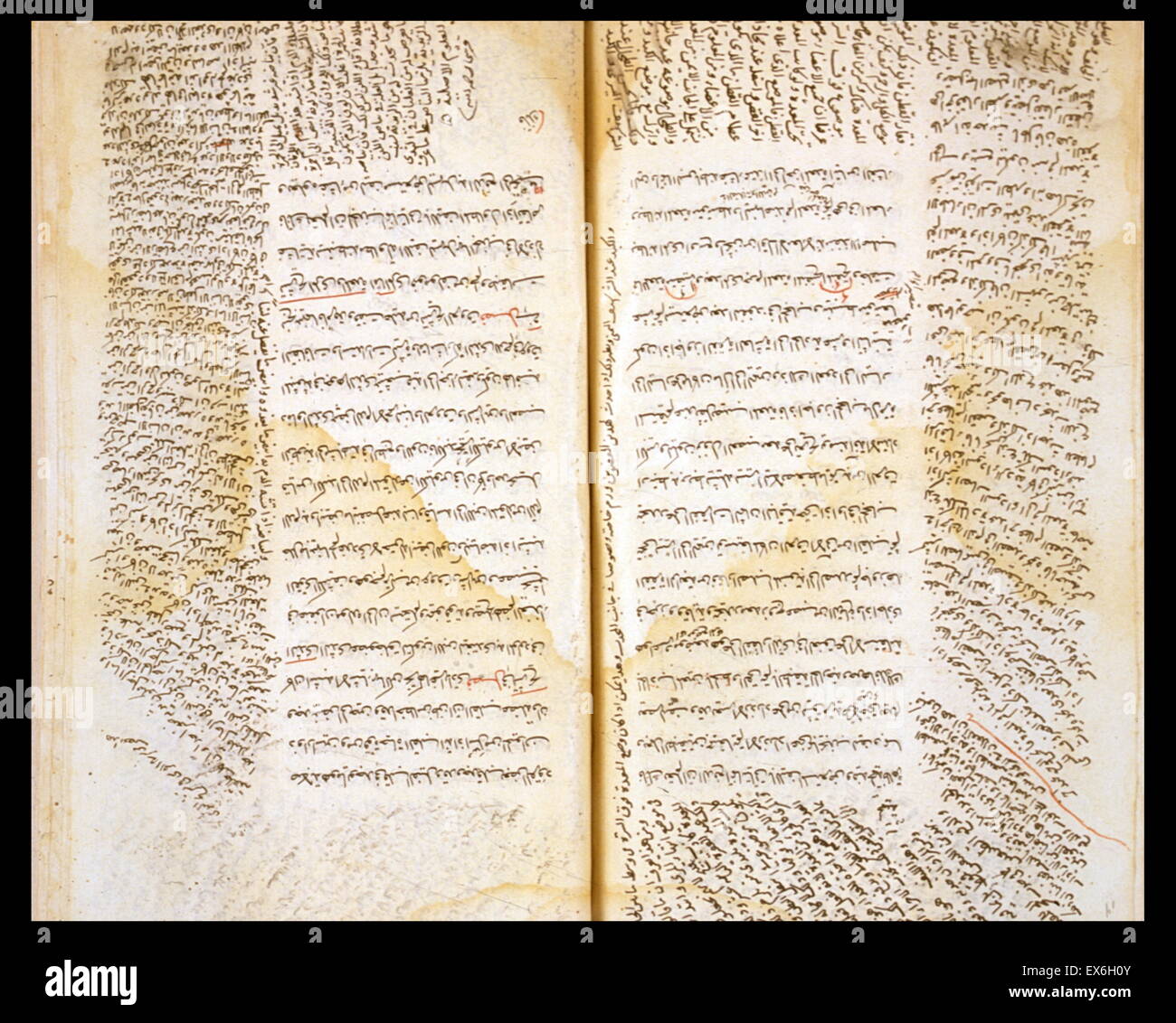 Le texte central est constitué de la sections anatomiques du Canon de la médecine d'Ibn S ?n ? (Avicenne). Dans les marges sont de longues citations de l'commentaire sur l'anatomie du canon qui a été écrit par Ibn al-Naf ?s (d. 1288/678 H) Banque D'Images