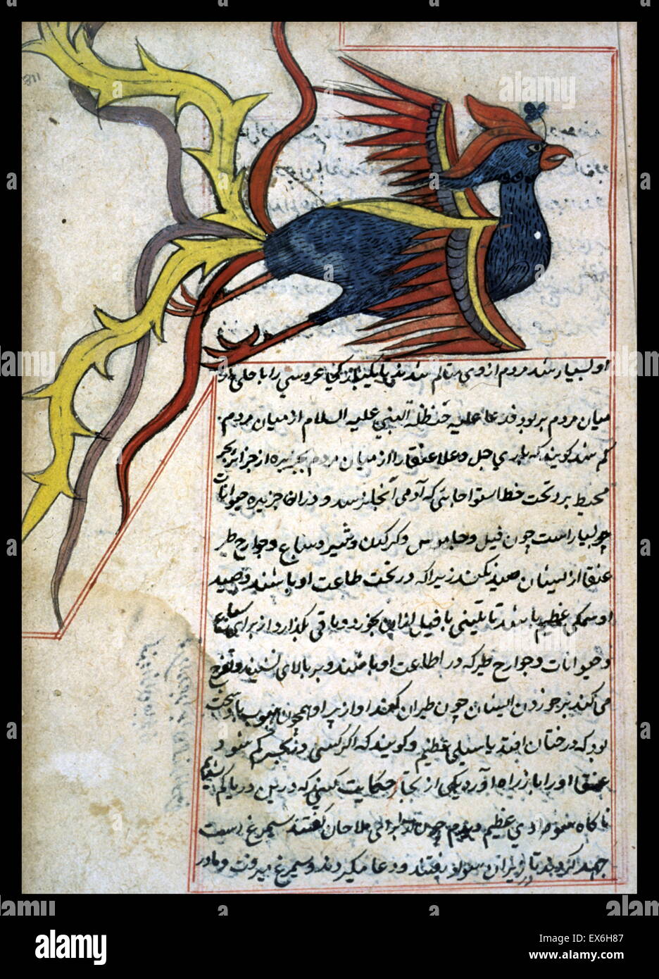 Un simurgh - un monstrueux oiseau mythique avec la puissance de raisonnement et d'expression. À partir de 'Aj ?'ib al-makhl ?Q ?t wa-ghar ?'ib al-mawj ?d ?t (merveilles de choses créées et Aspects miraculeux de choses existant) par al-Qazw ?n ? (D. 1283/682). Banque D'Images
