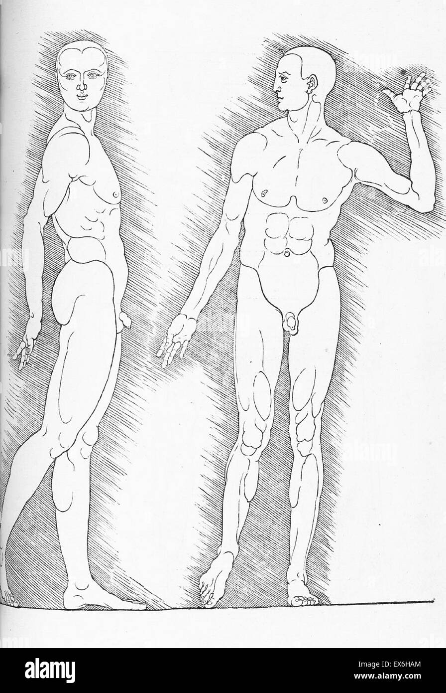 Illustration anatomique de 'Vier Bücher von menschlicher proportion' ' par Albrecht Dürer (1471-1528), Nuremberg, 1528. Sa collection de dessins ont été utilisés pour appliquer la science de la proportions anatomiques à l'esthétique Banque D'Images