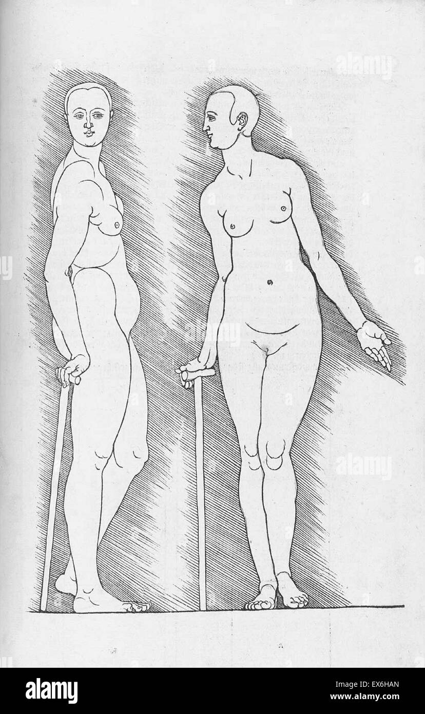 Illustration anatomique de 'Vier Bücher von menschlicher proportion' ' par Albrecht Dürer (1471-1528), Nuremberg, 1528. Sa collection de dessins ont été utilisés pour appliquer la science de la proportions anatomiques à l'esthétique Banque D'Images