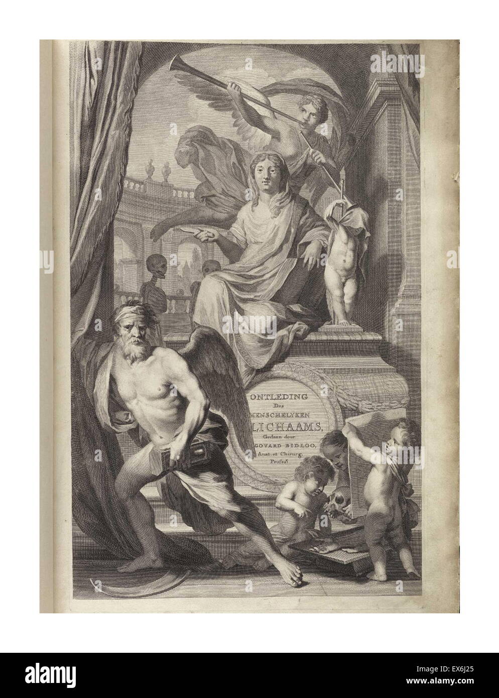 Illustrations de Govard Bidloo, du manuel de l'anatomie des menschelyken Lichaams Ontleding ''. Amsterdam (1690).Govard Bidloo est né à Amsterdam en 1649 et devient professeur d'anatomie à La Haye de 1688 à 1714 Banque D'Images