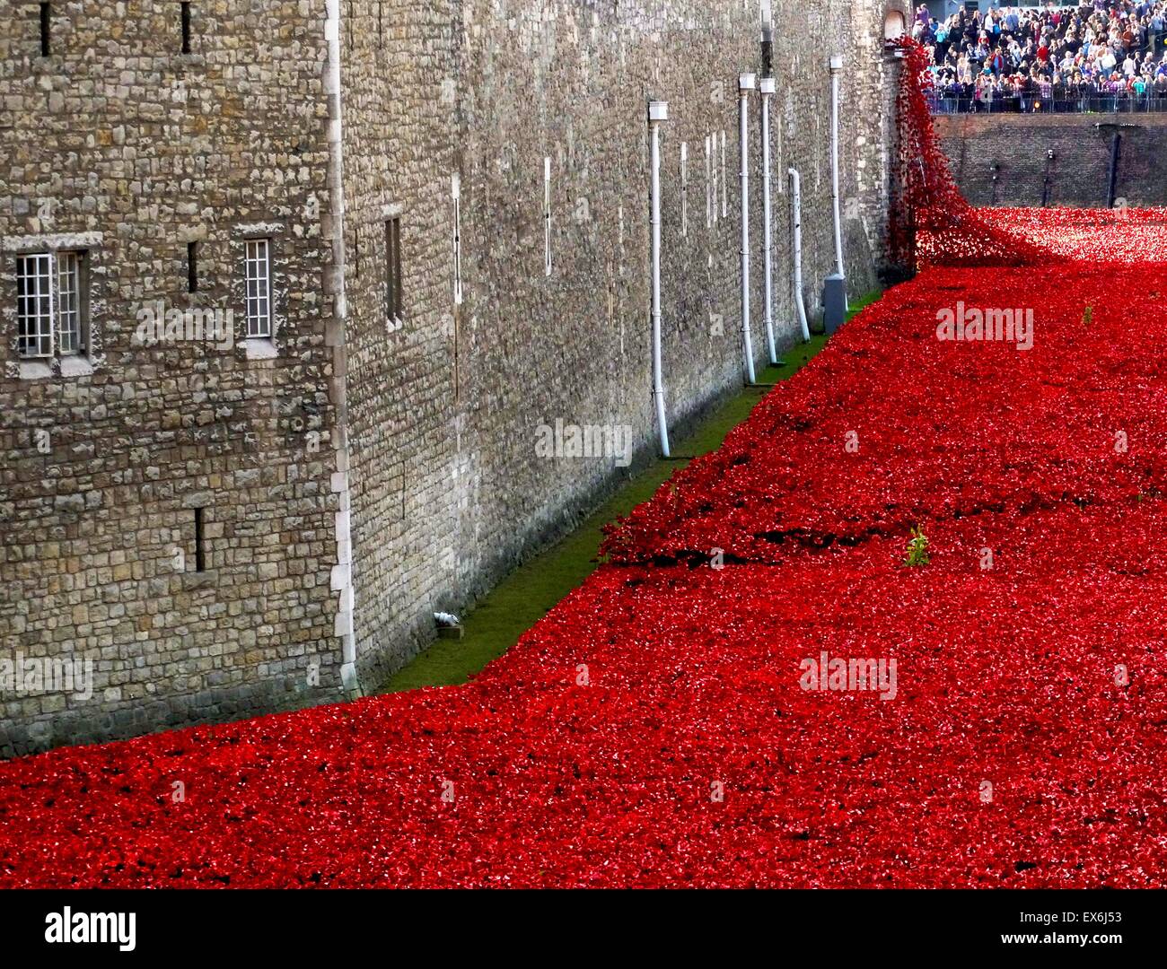 Art installation intitulée 'Blood a balayé les terres et les mers de Red'. Le fossé sec a été rempli de 800 000 coquelicots en céramique commémorant le centenaire de la Première Guerre mondiale. Créé par l'artiste céramiste Paul Cummins et theatre stage designer Tom Piper. Banque D'Images