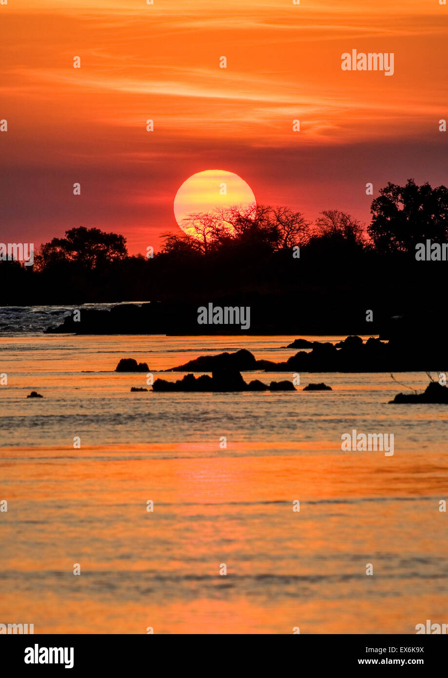 Coucher de soleil sur le fleuve Zambèze, près de Victoria Falls, Zambie, Afrique Banque D'Images