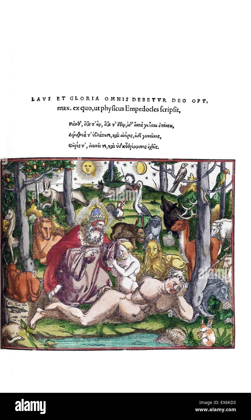 Illustration de la création Dieu veille d'Adam dans le jardin d'Eden, à partir de 'Medici' Tigurini Historiae animalium Historia animalum 1564 ; un livre d'Anatomie vétérinaire, par Conradi Gesneri 1516-1611 Banque D'Images