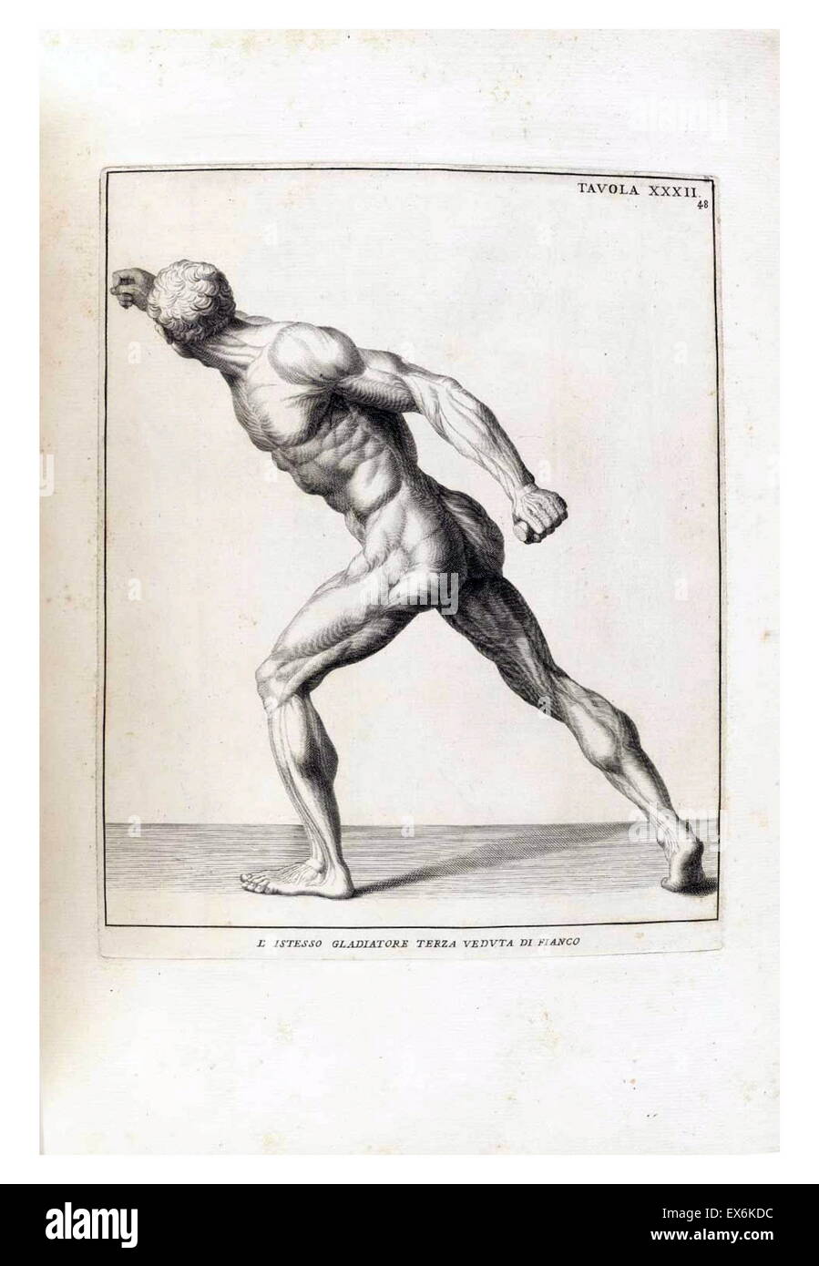Étude anatomique par Bernardino Genga 'Anatomia per uso et intelligenza del disegno ricercata non solo su gl'OSSI, e muscoli del corpo humano'. (Rome, 1691). Bernardino Genga (1620-1690) était un érudit de textes médicaux classiques, l'édition de plusieurs ouvrages d'Hi Banque D'Images
