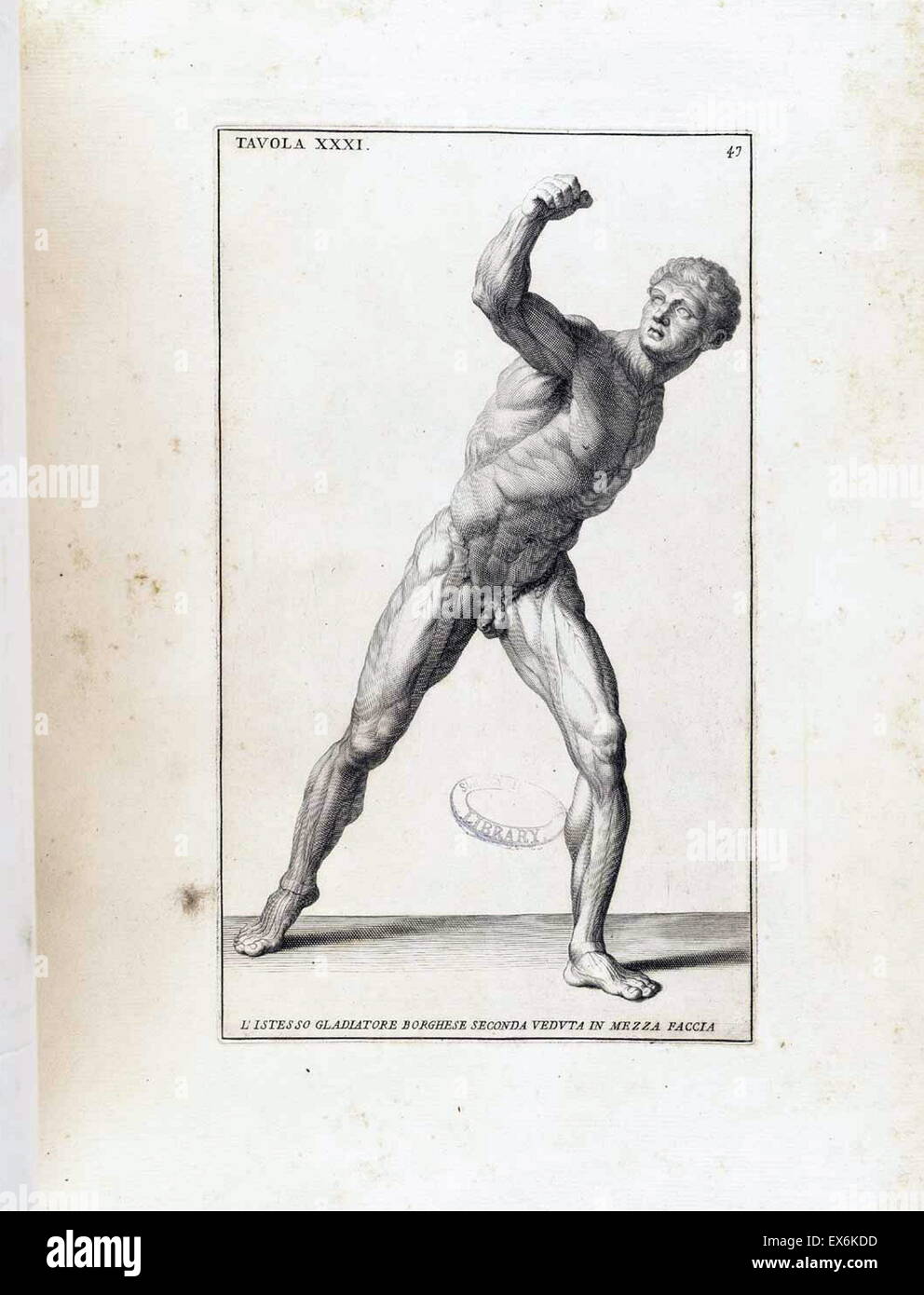 Étude anatomique par Bernardino Genga 'Anatomia per uso et intelligenza del disegno ricercata non solo su gl'OSSI, e muscoli del corpo humano'. (Rome, 1691). Bernardino Genga (1620-1690) était un érudit de textes médicaux classiques, l'édition de plusieurs ouvrages d'Hi Banque D'Images