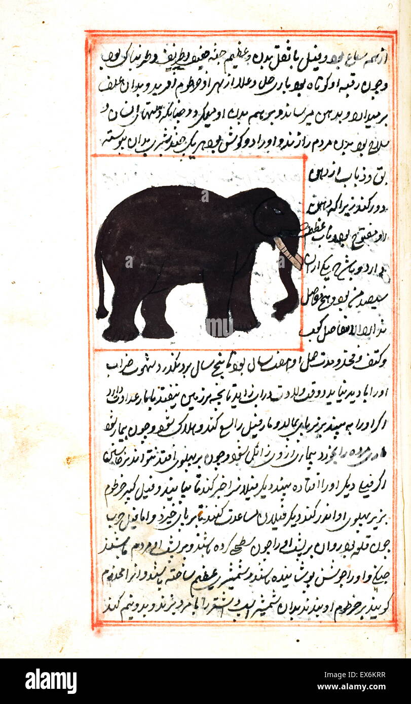 Illustration de l'éléphant indien, à partir de 1538, l'édition de ' ?Kit b-I ?aj ?y ?b al-makhl ?Q ?t va ghar ? ?ib al-mawj ?d ?t'. (Merveilles de choses créées et Aspects miraculeux de choses existant) une 12e siècle, islamique, perse livre scientifique par Zakar ?y ? Ibn Mu Banque D'Images