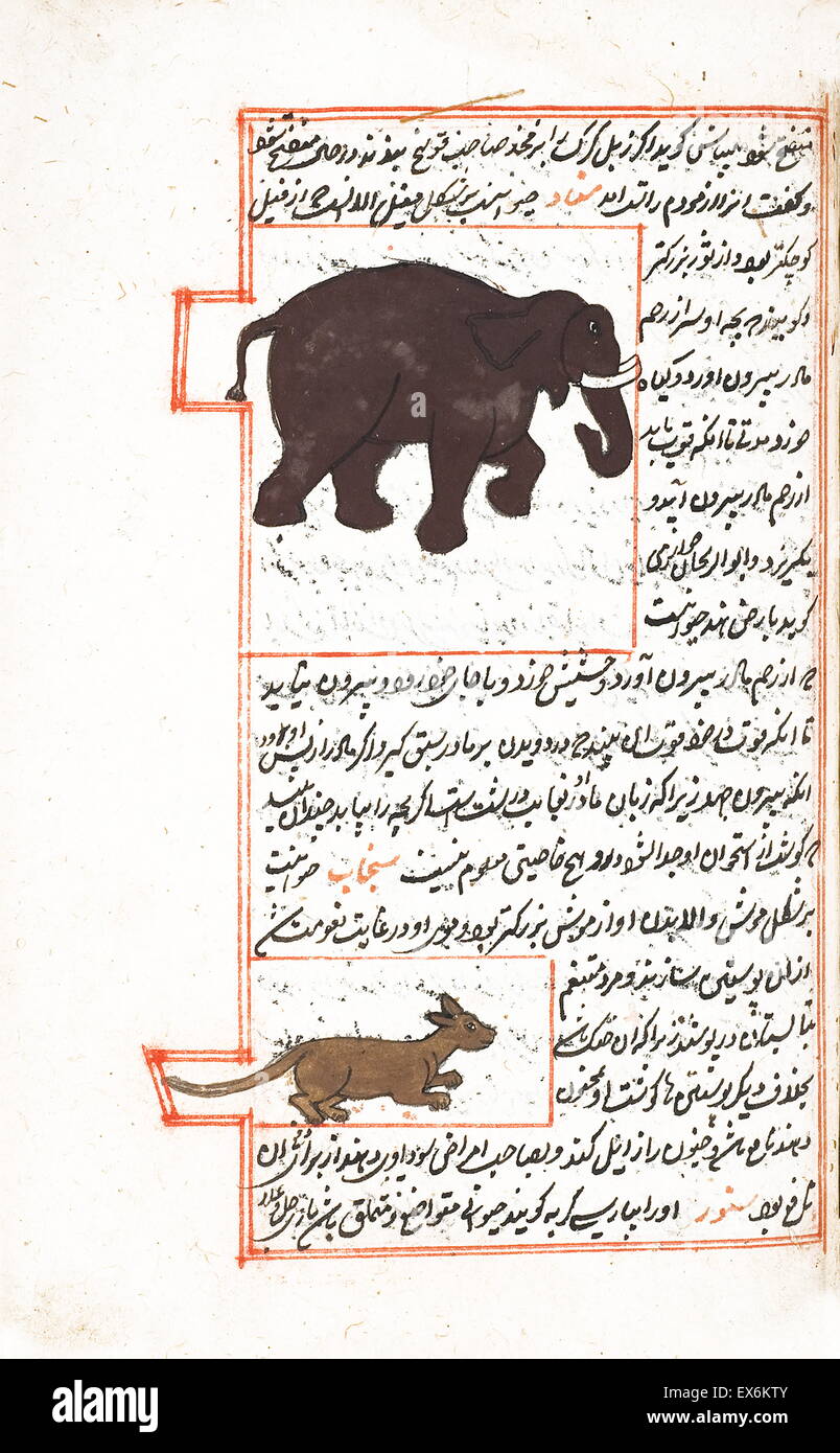 Illustration représentant un éléphant d'Afrique et aux petits mammifères, édition de 1538, de ' ?Kit b-I ?aj ?y ?b al-makhl ?Q ?t va ghar ? ?ib al-mawj ?d ?t'. (Merveilles de choses créées et Aspects miraculeux de choses existant) une 12e siècle, islamique, scientifique persan bo Banque D'Images