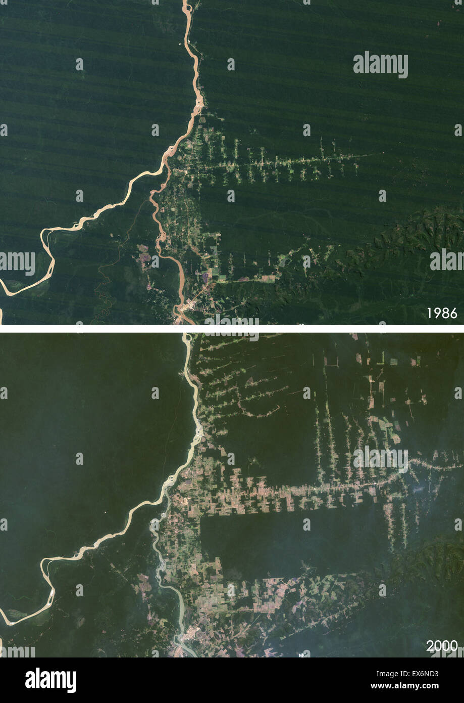 Vue satellite de la déforestation dans l'ouest de Rondonia, Brésil en 1986 et 2000. Avant et après cette image montre la déforestation Banque D'Images