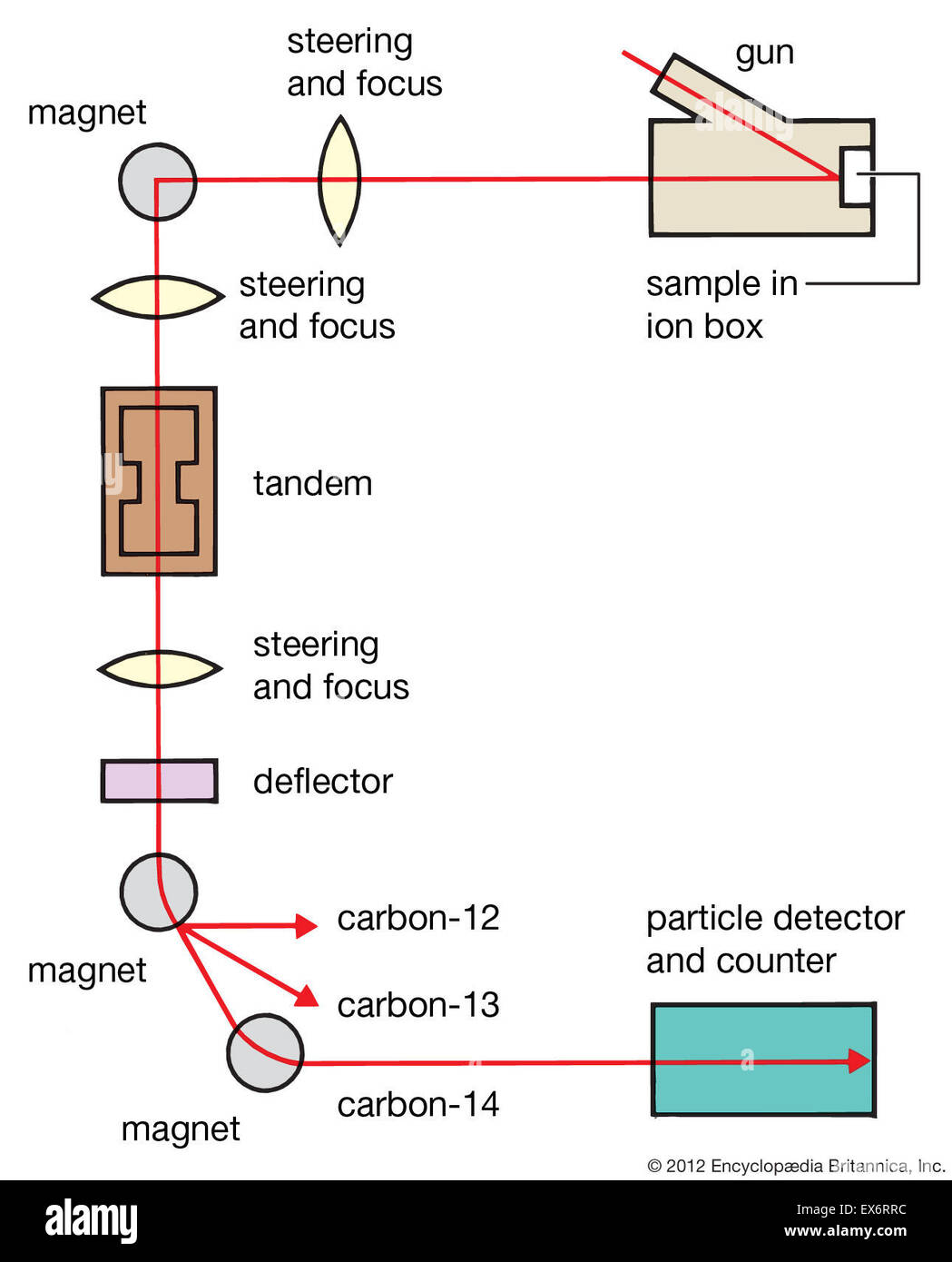 La datation au radiocarbone : méthode d'accélération de particules Banque D'Images