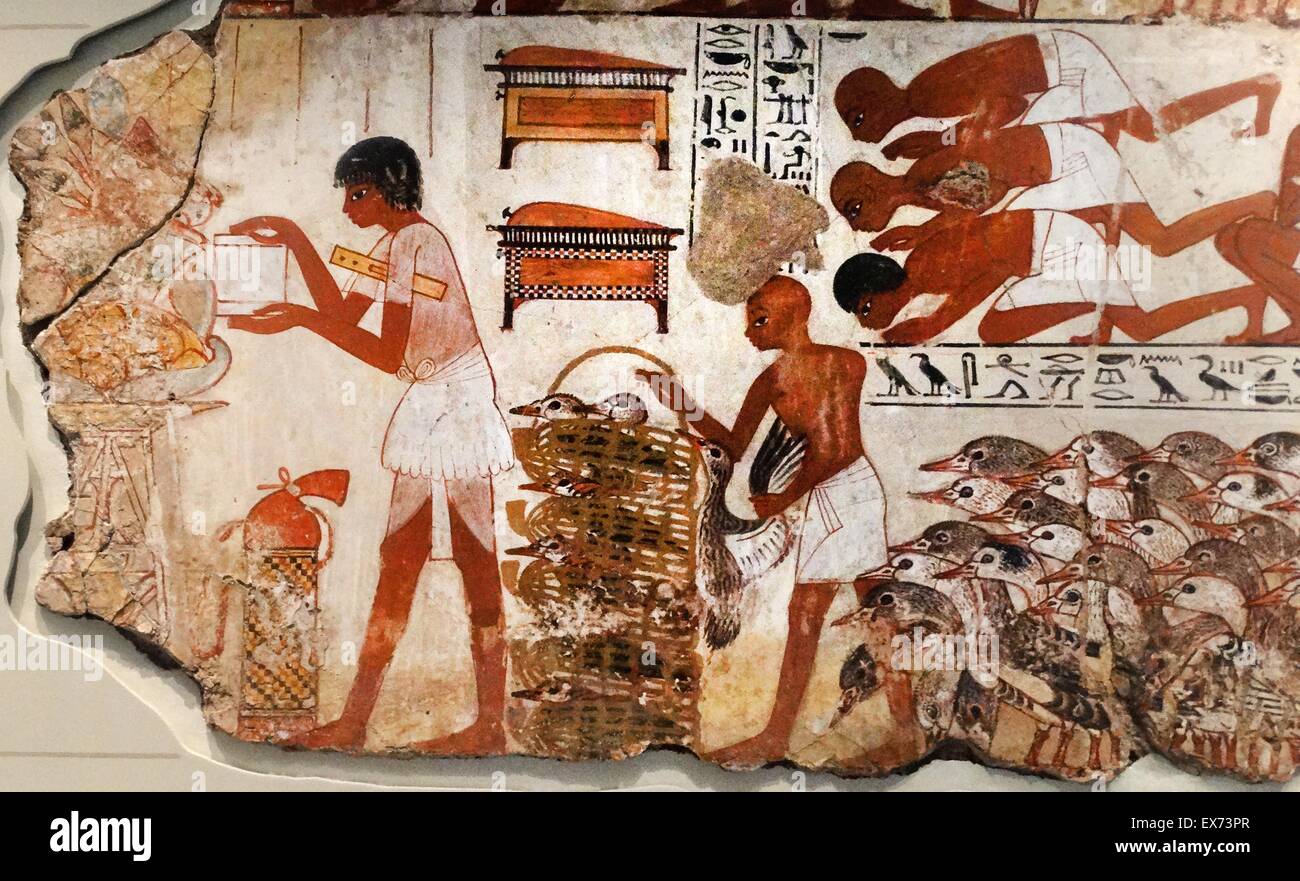 Fresque de la tombe de Nebamun, fragment d'une peinture polychrome tomb-masse montrant des oies avec leurs agriculteurs à partir de la présentation de la scène des oies. Thèbes, Egypte 18e dynastie, vers 1350 av. Banque D'Images