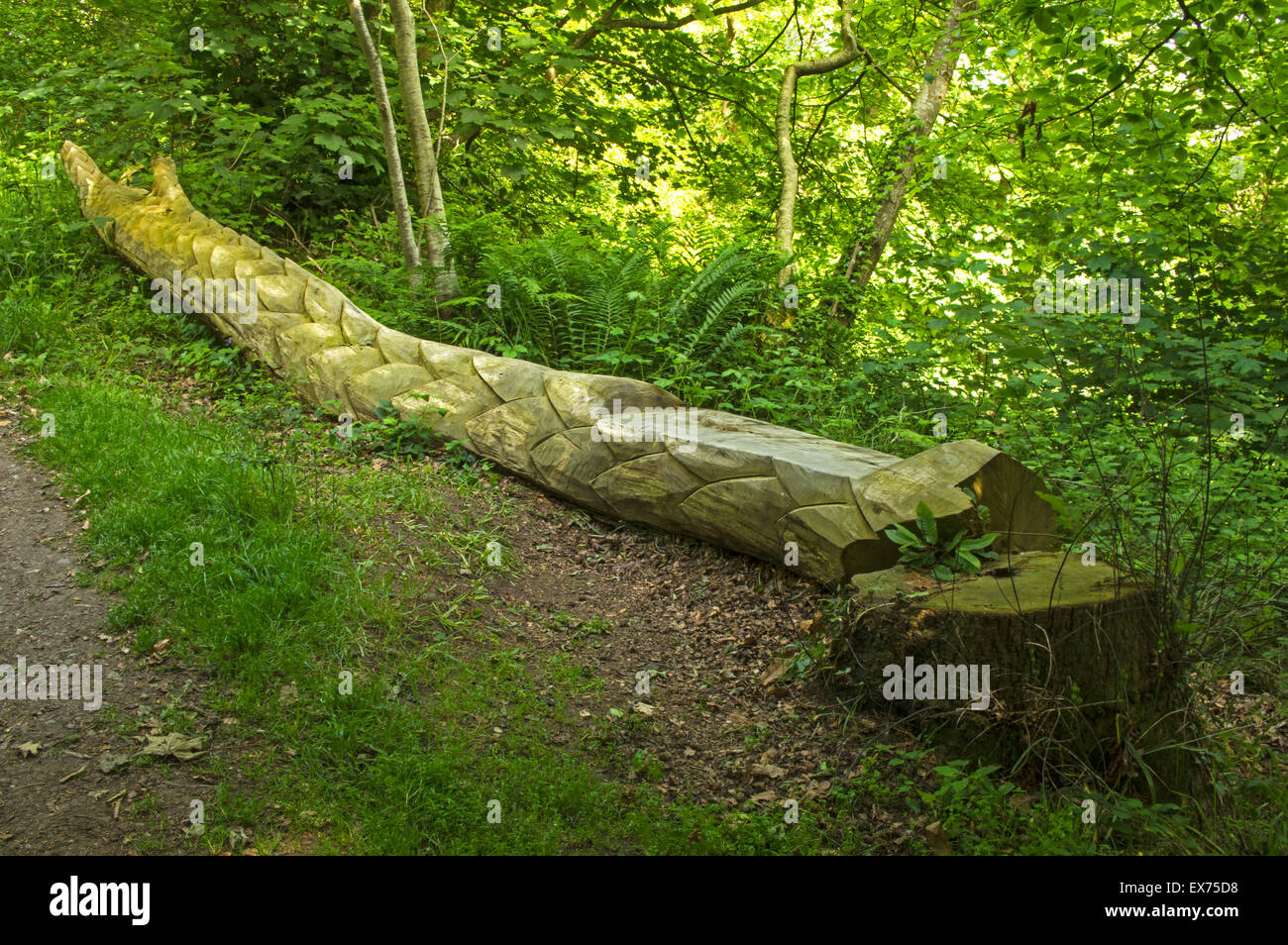 Un arbre tombé sculptés pour ressembler à un dragon avec un siège ainsi à la réserve naturelle locale, Dingle, Llangefni, Anglesey, Pays de Galles Banque D'Images