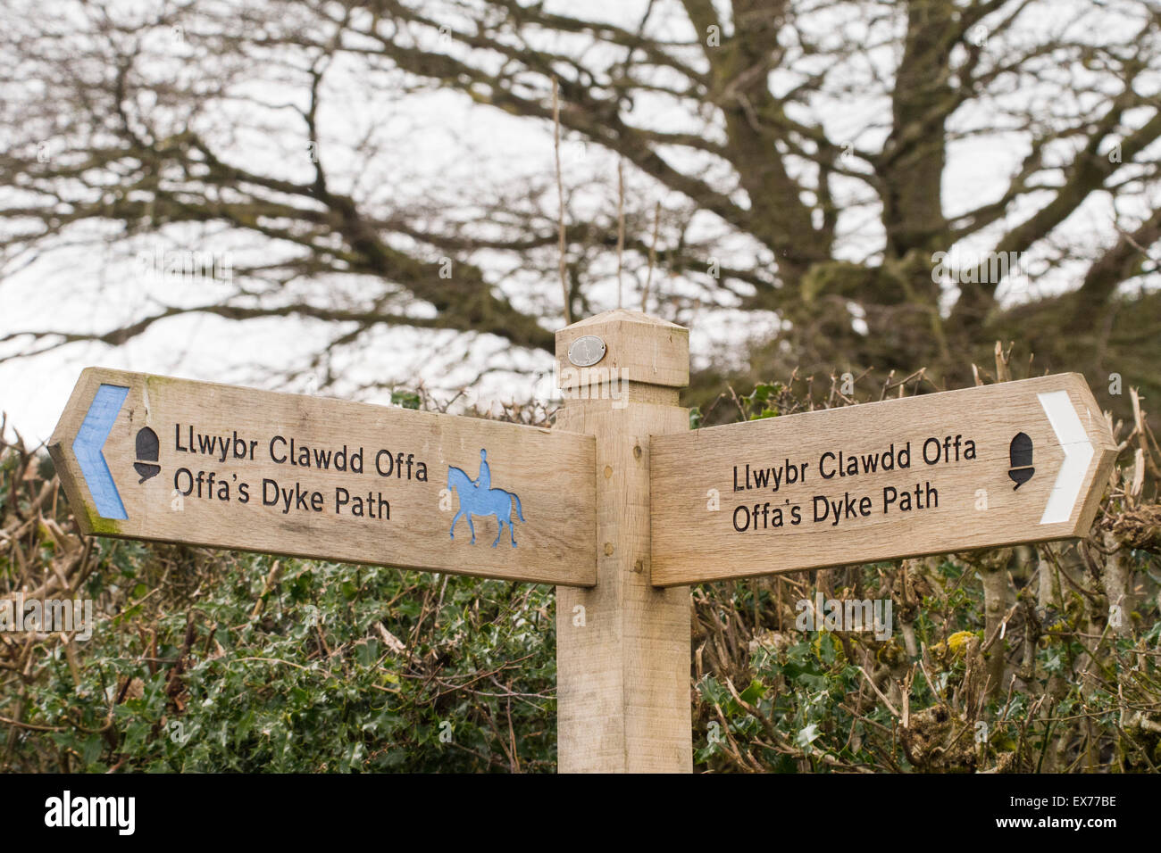 Un sentier signe pour l'Offa's Dyke long distance footpath, près de Newchurch, Powys, Pays de Galles. Banque D'Images