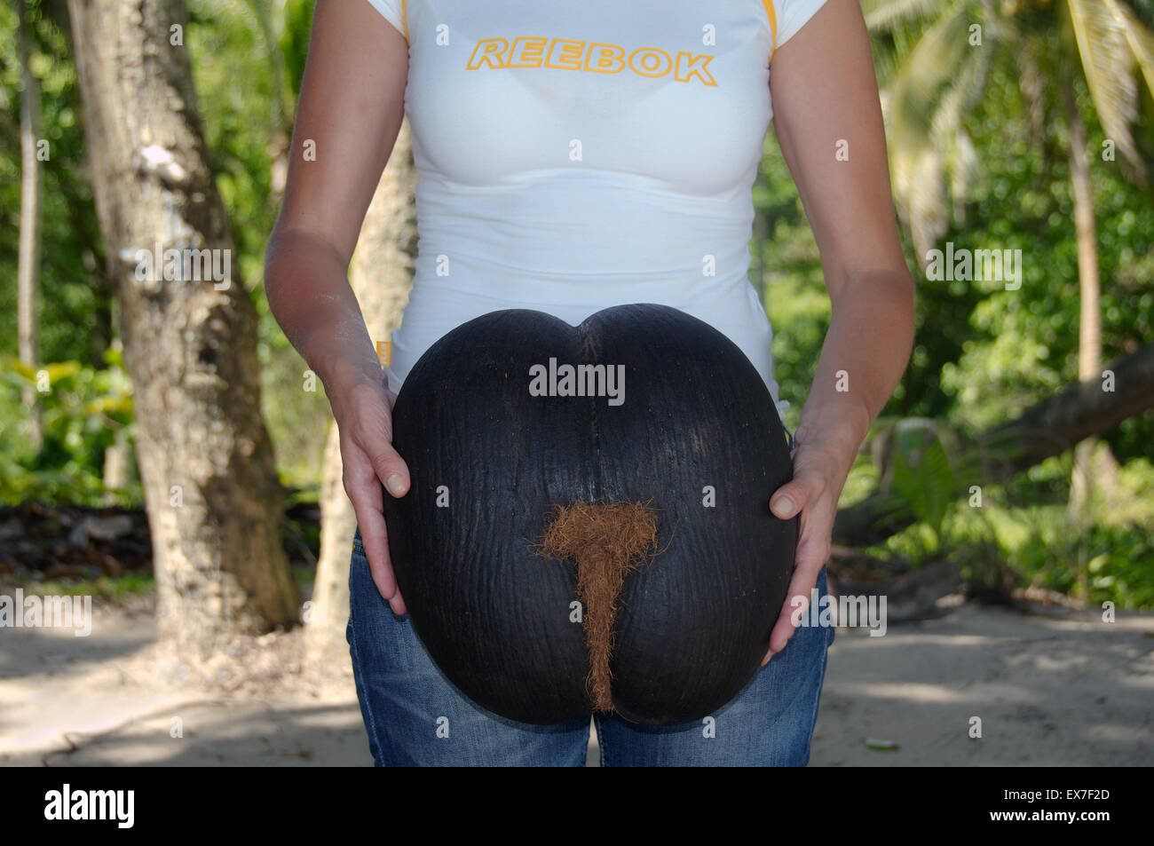 Une femme tenant un coco de mer, de la mer, noix de coco, noix de coco double amour, coco fresse, Seychelles ou l'écrou (Lodoicea maldivica) Mahe Banque D'Images