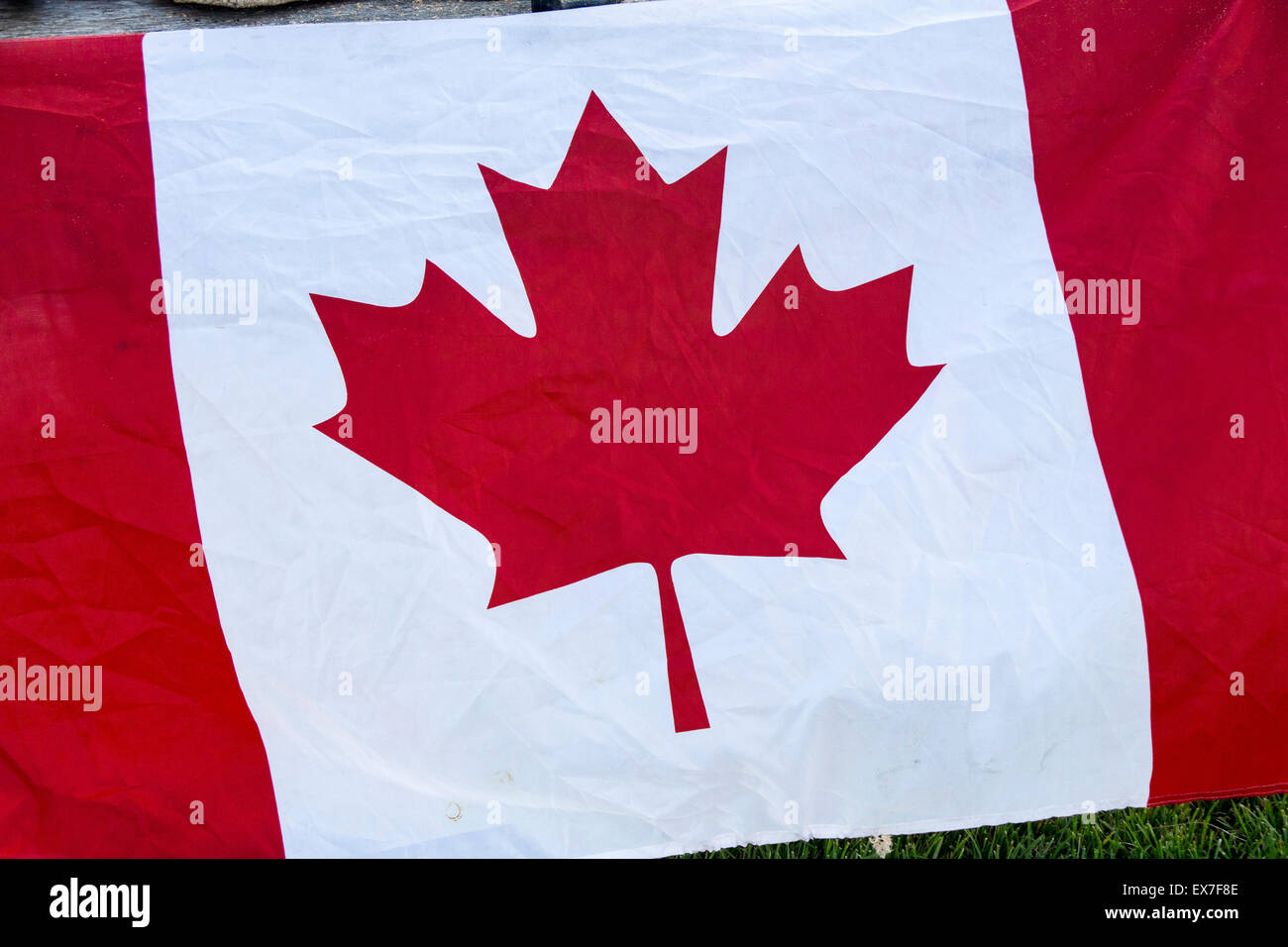 Close up of le rouge et blanc du drapeau canadien à la feuille d'érable au centre. Banque D'Images