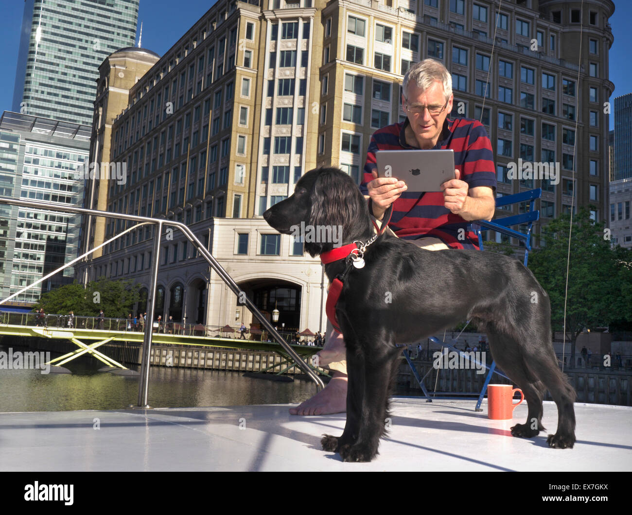 Homme mature sur barge se concentre sur la capture d'une image de son pedigree chien posant avec son ordinateur tablette iPad air Quai Canary Wharf Londres E14 Banque D'Images