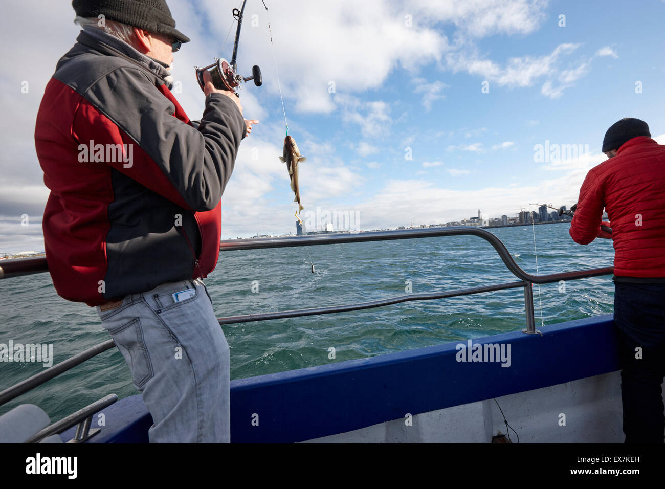 Les hommes seafishing sur un bateau charter Reykjavik Islande Banque D'Images