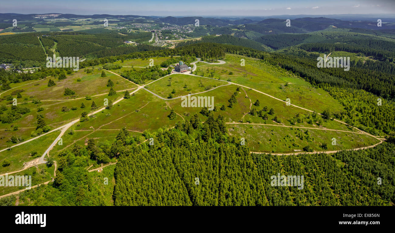 Heath à haute altitude sur le Kahler Asten, Winterberg, Rhénanie-Palatinat, Hesse, Allemagne Banque D'Images