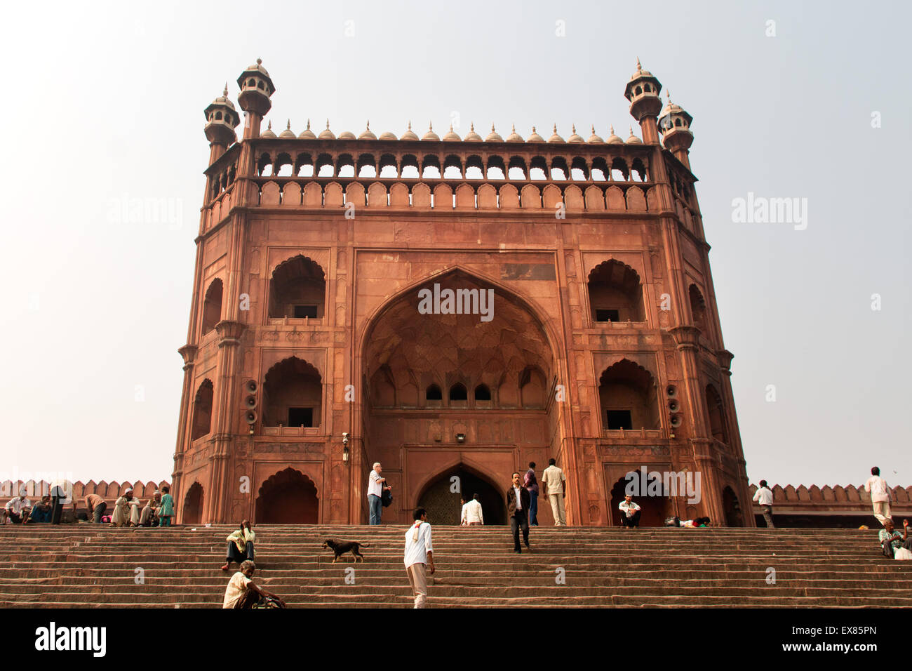 Cour intérieure de la mosquée Jama Masjid ou Masjid-i-Jahan Numa, New Delhi, Delhi, Inde Banque D'Images