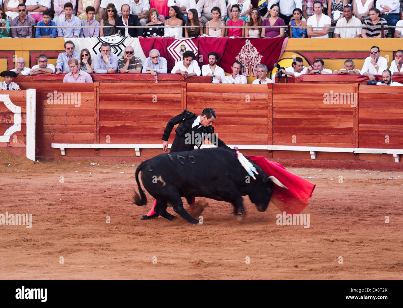 La corrida. Algeciras Bull ring. Cadix, Andalousie, espagne. Banque D'Images