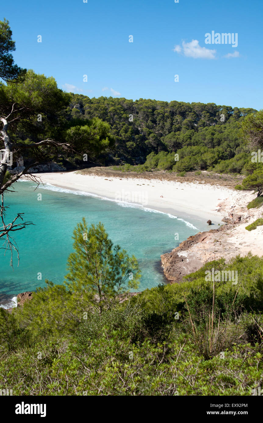 Les baigneurs et les nageurs sur le beau sable blanc et eau claire azure de Trebaluger Beach sur l'île de Minorque espagne Banque D'Images