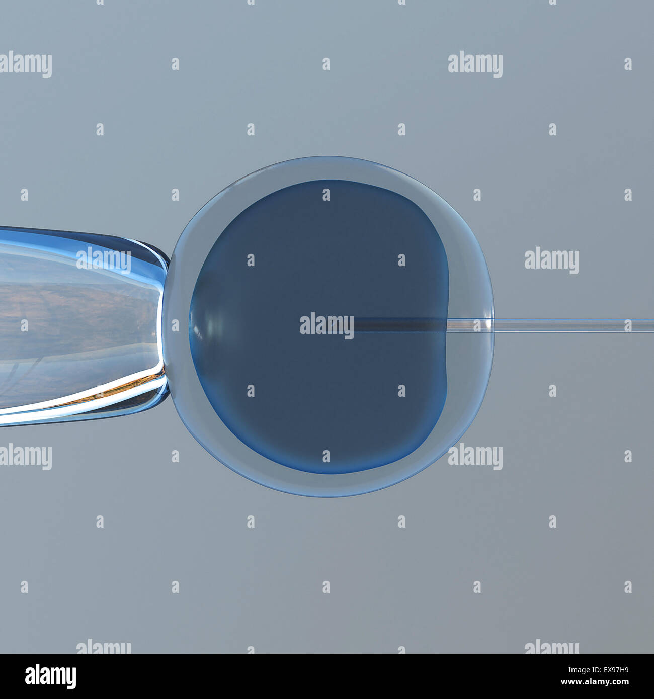 3D illustration d'un clonage in vitro assay. Banque D'Images