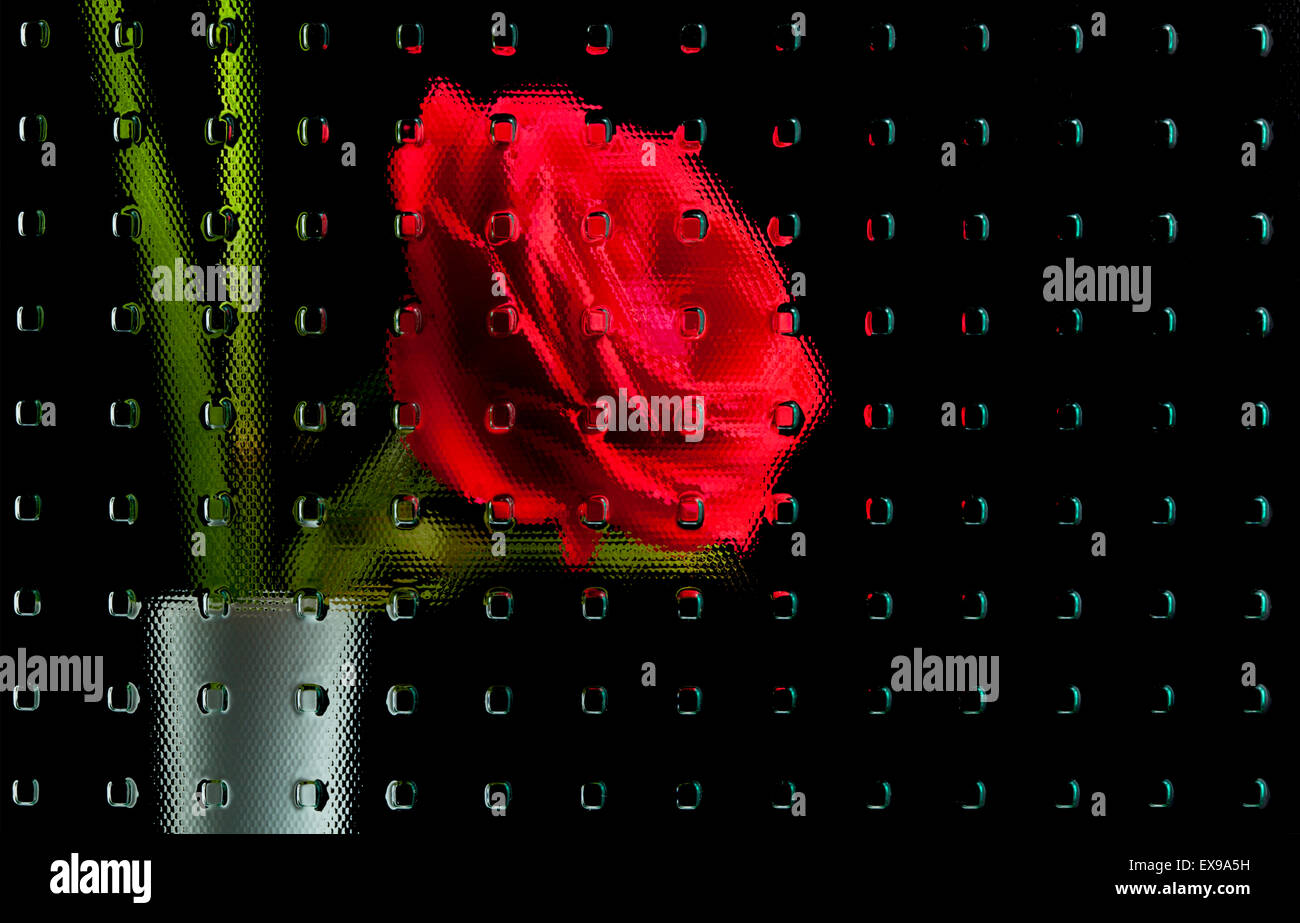 Rose rouge dans un vase derrière la fenêtre texture géométrique Banque D'Images