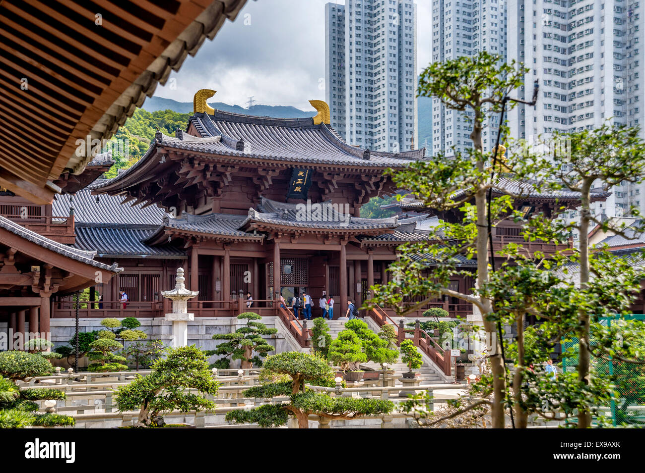 Chi Lin Nunnery est un temple bouddhiste construit sans un seul clou, Kowloon, Hong Kong, Chine Banque D'Images
