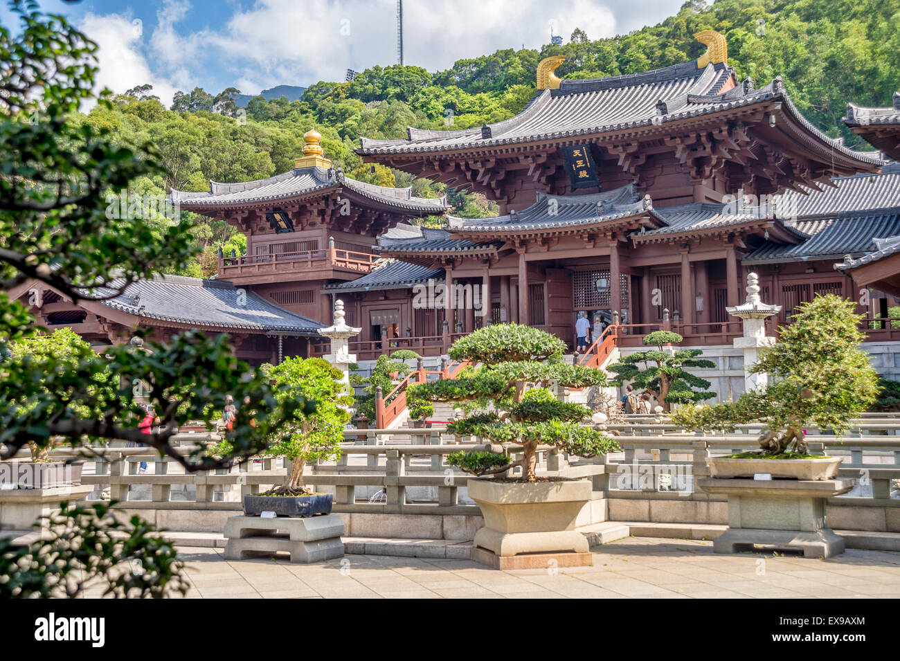 Chi Lin Nunnery est un temple bouddhiste construit sans un seul clou, Kowloon, Hong Kong, Chine Banque D'Images