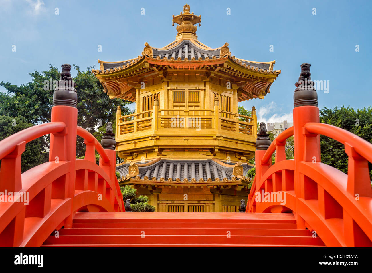 Le pavillon d'or de Chi Lin Nunnery, Kowloon, Hong Kong, Chine Banque D'Images