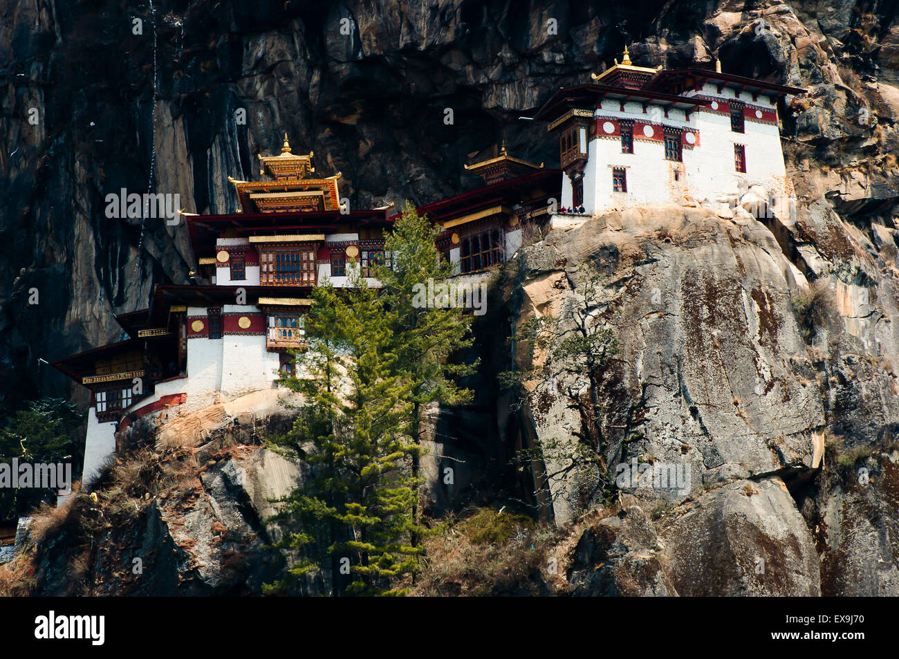 Monastère de Taktsang (Tiger's Nest) - Bhoutan Banque D'Images