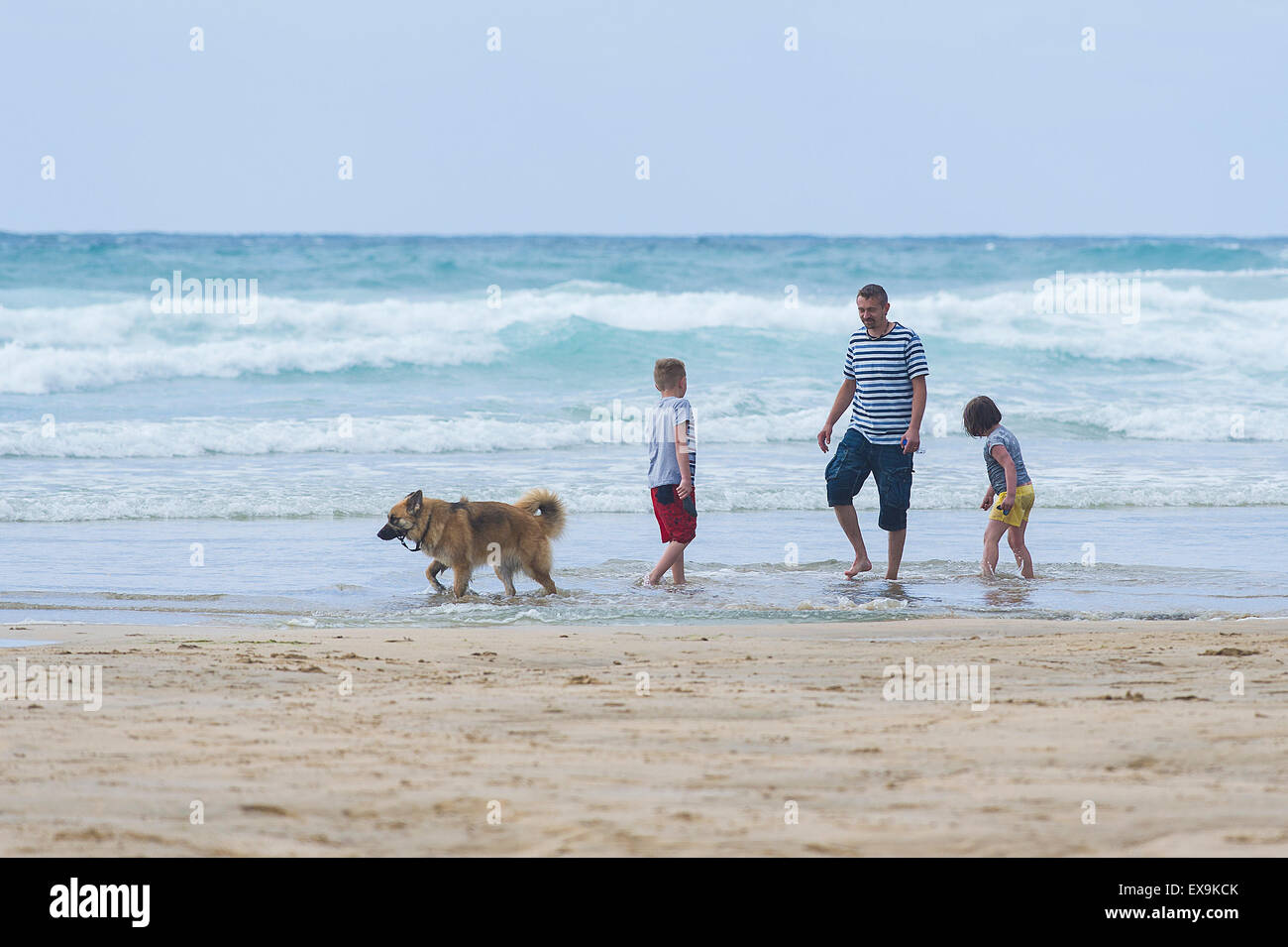 Un père et ses enfants et de leur chien palette sur le rivage sur la plage de Fistral, Newquay, Cornwall. Banque D'Images