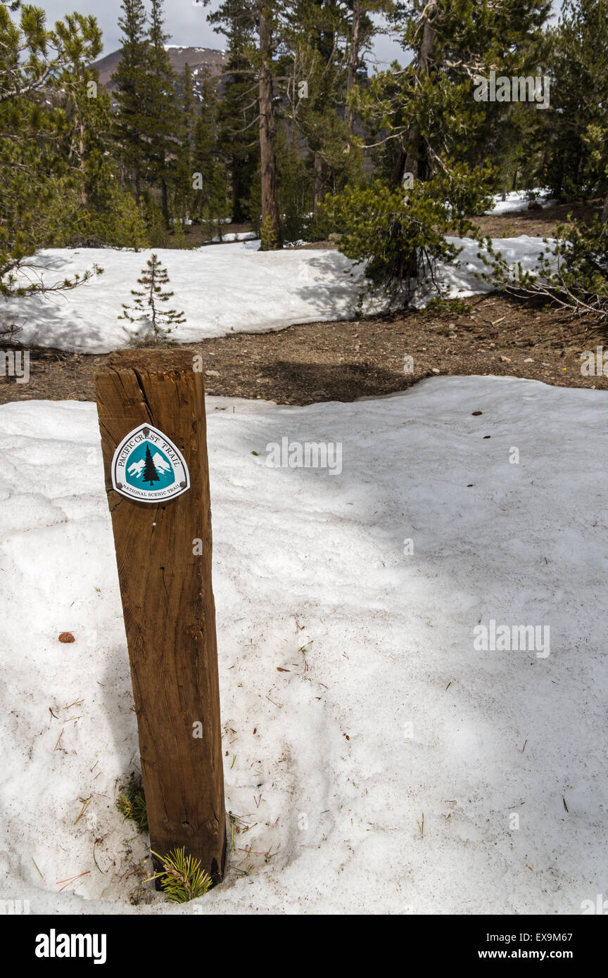 Pacific Crest Trail ou PCT à Sonora Pass traverse plaques de neige dans les montagnes de la Sierra Nevada de Californie Banque D'Images