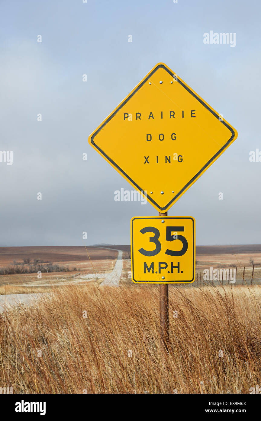 Vertical image chien de prairie crossing sign par le côté de la route Banque D'Images