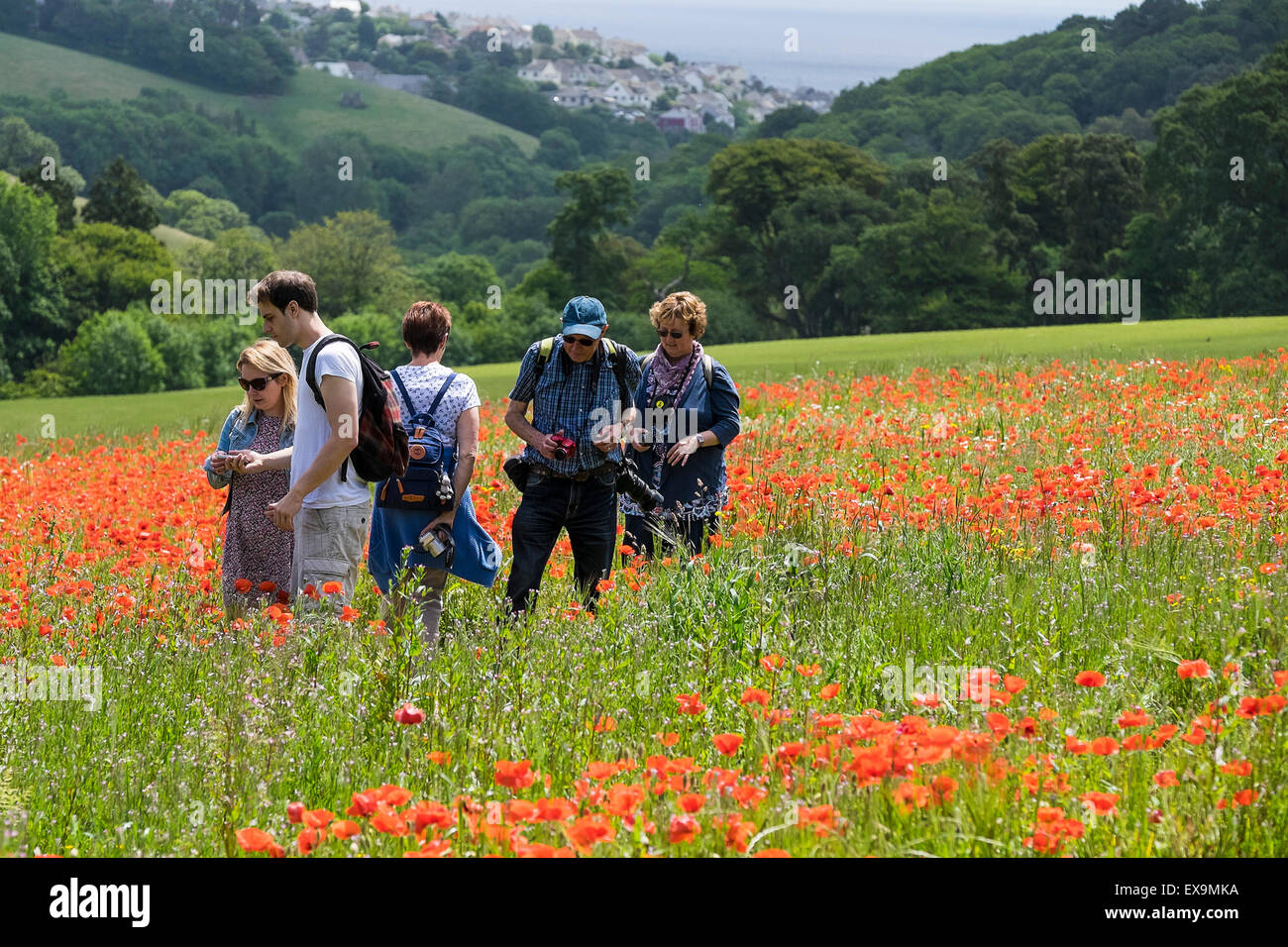 Les touristes marcher dans un champ de coquelicots dans les jardins perdus de Heligan en Cornouailles. Banque D'Images