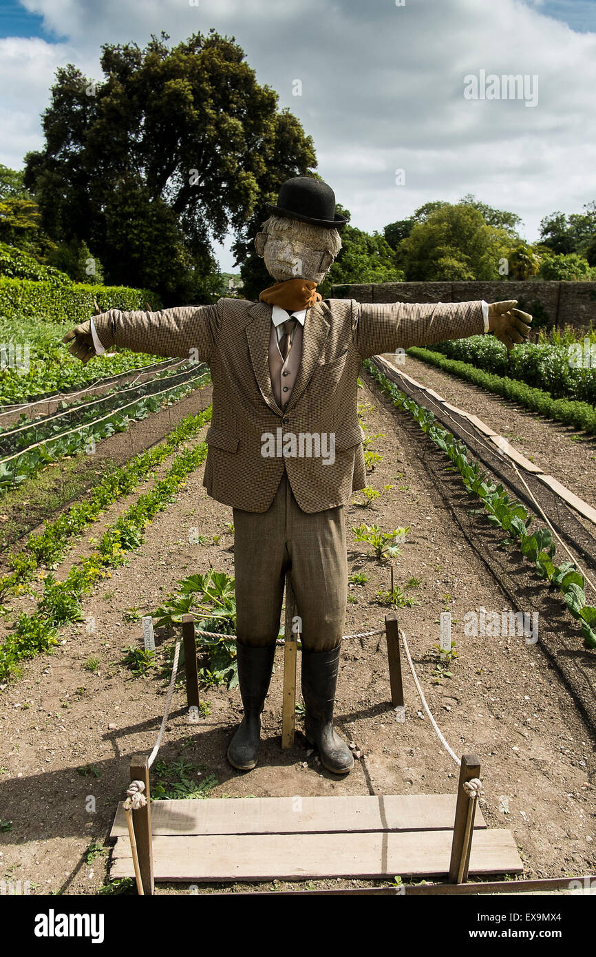 Un épouvantail dans les jardins de légumes dans les jardins perdus de Heligan en Cornouailles. Banque D'Images
