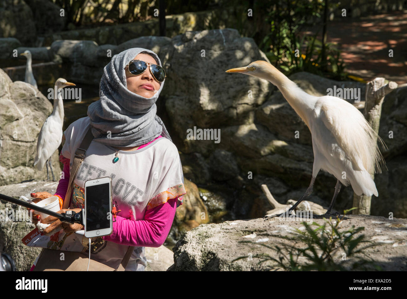 Asie, Malaisie, Kuala Lumpur, jeune femme au foulard pose pour des photos avec Stork à Kuala Lumpur Bird Park Banque D'Images