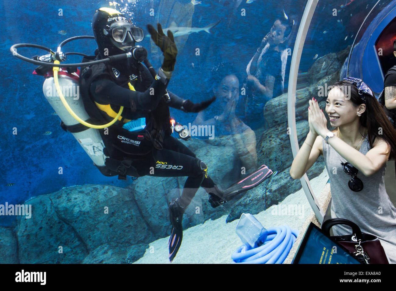 En Asie, Singapour, jeune femme courbes à l'intérieur piscine plongeur autonome à l'intérieur du réservoir requin massif S.E.A. Aquarium Banque D'Images