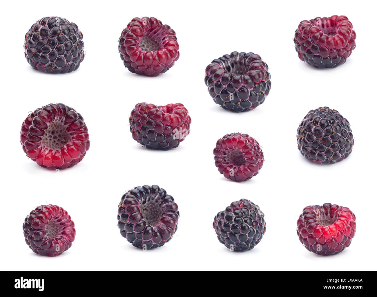 Framboises noires ensemble Cumberland isolé sur fond blanc Banque D'Images