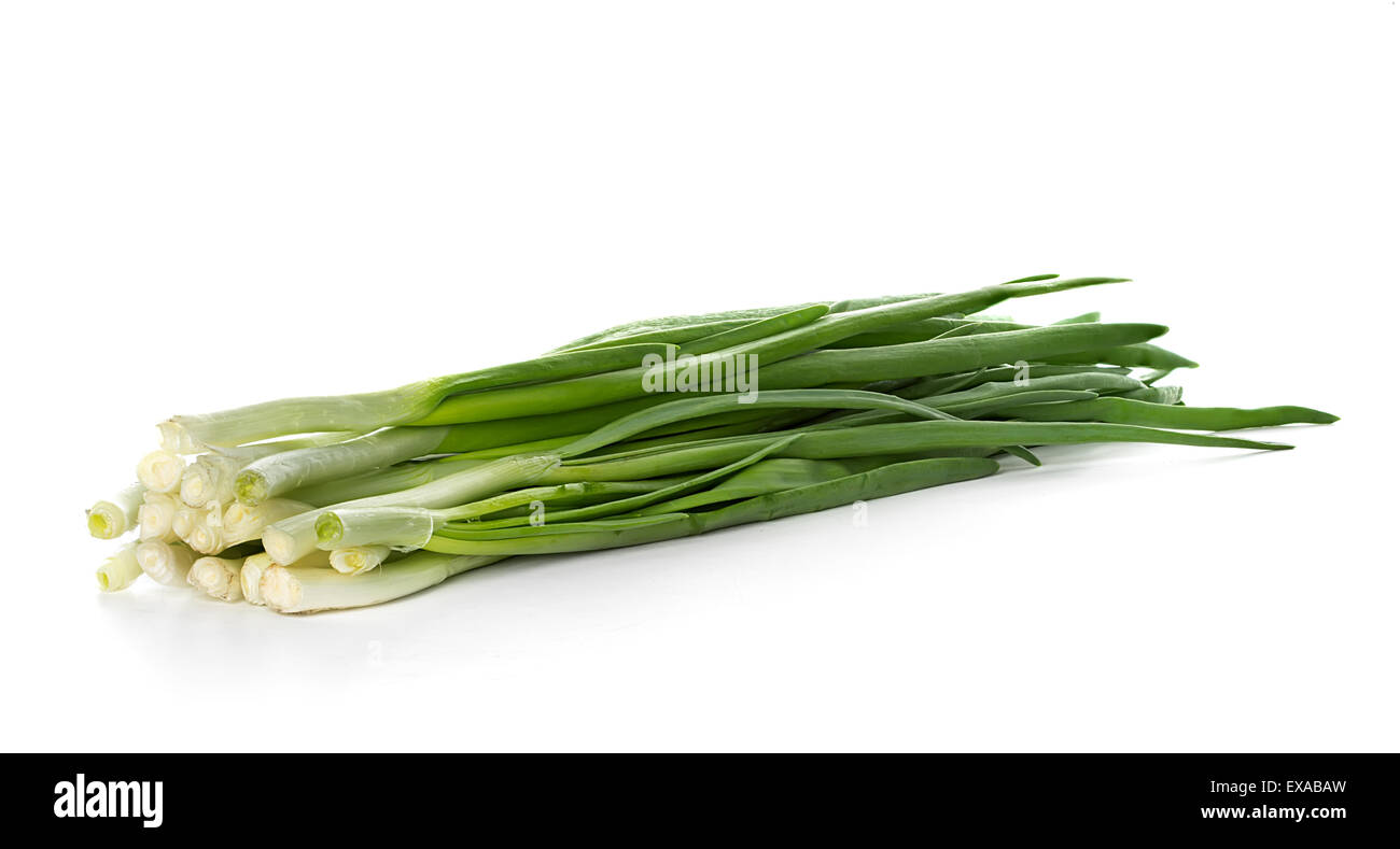Oignon vert sur fond blanc Banque D'Images Oignon vert sur fond blanc Banque D'Images