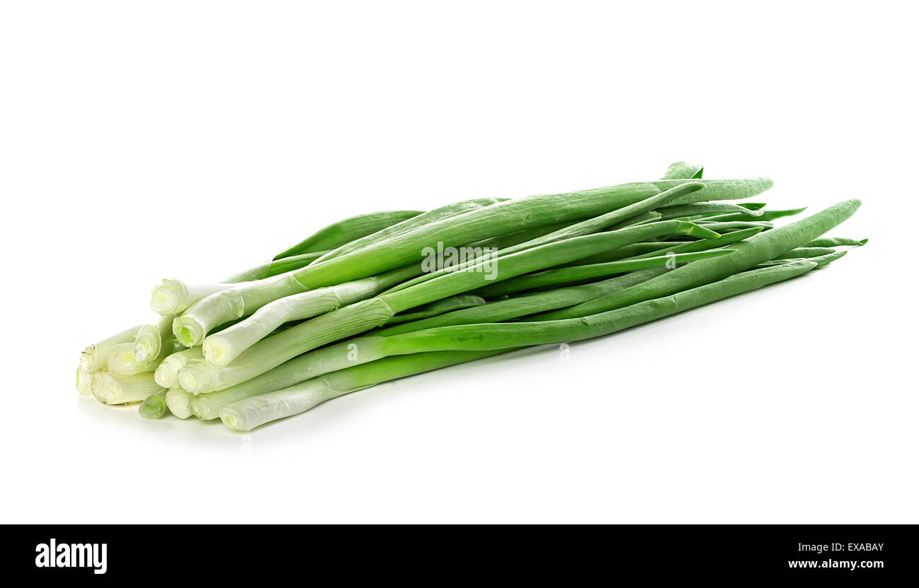 Oignon vert sur fond blanc Banque D'Images Oignon vert sur fond blanc Banque D'Images