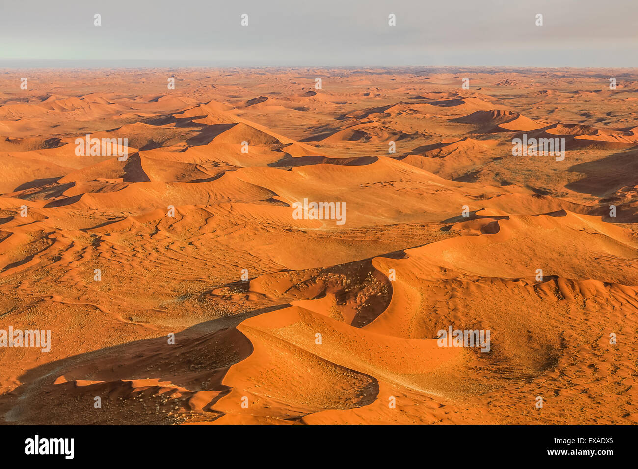Les dunes de Sossusvlei Banque D'Images